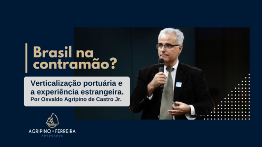 O Brasil na contramão? Verticalização portuária e a experiência estrangeira.