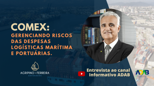 COMEX: gerenciando riscos das despesas logísticas marítimas e portuárias